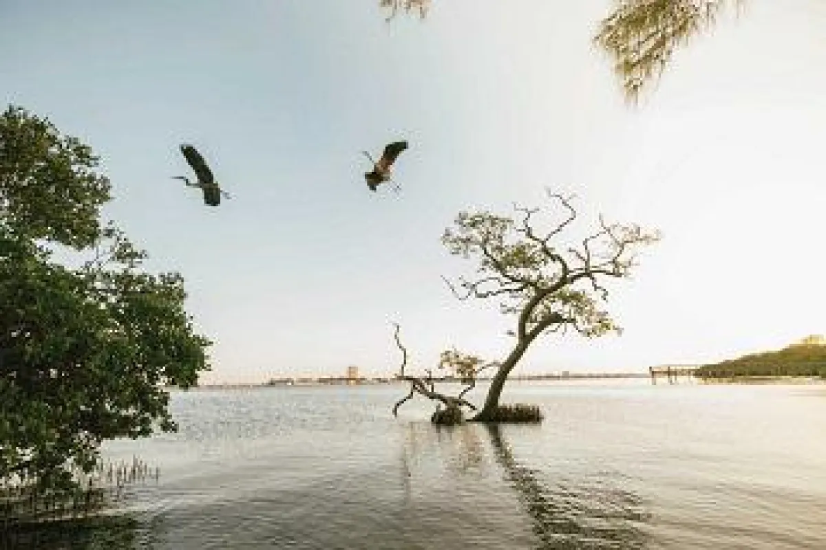 Sarasota Quick Point Nature Preserve © Christina Astore