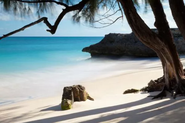 Bild: Echte Singlereisen im karibischen Paradies
