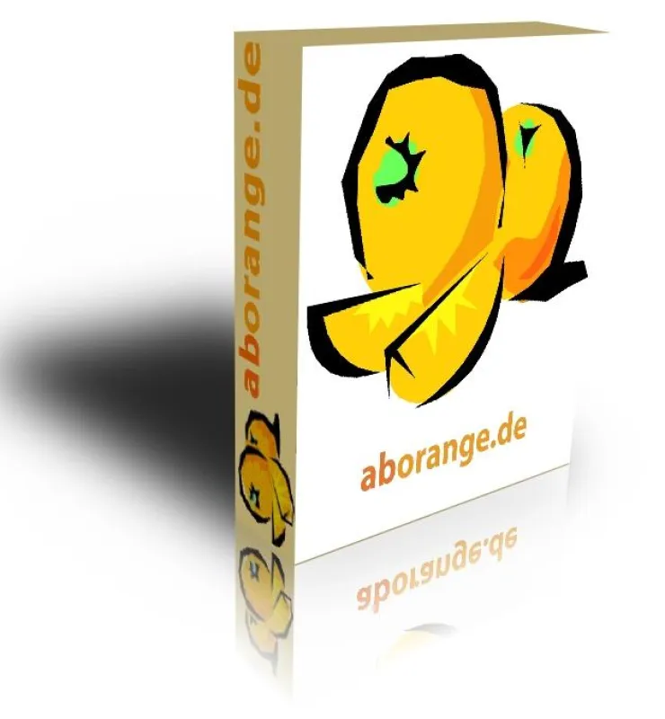 Auktionsabwicklung BayOrganizer von aborange.de