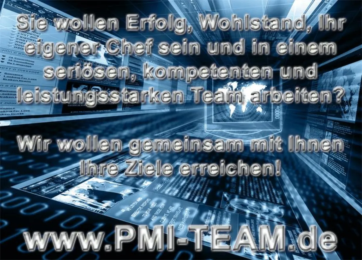 Professionelles Network Marketing im PMI-Team