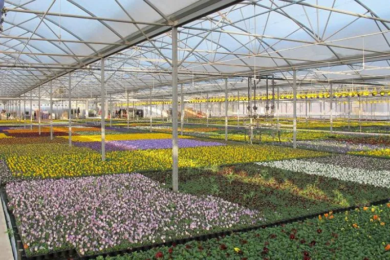 Topfpflanzenbetrieb "Gartenbau Salzwedel" expandiert Bild: Topfpflanzenbetrieb "Gartenbau Salzwedel" expandiert