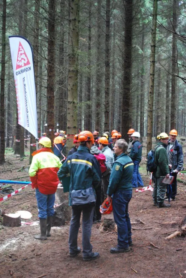 Gut besuchte Exkursionspunkte im Linkenbacher Forst bei Dierdorf
