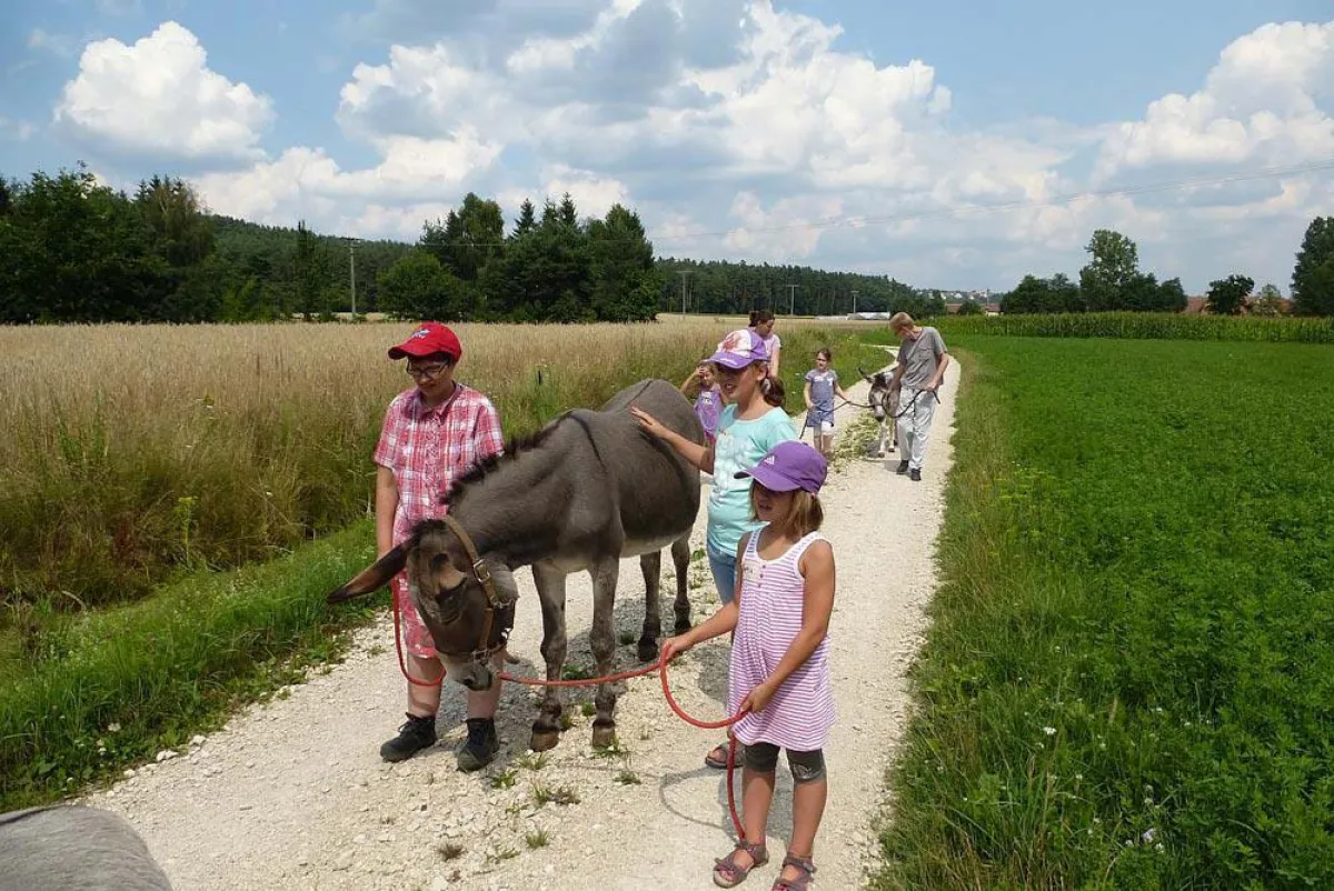 Esel-Trekking im Fränkischen Seenland, Foto: TV Fraenkisches Seenland und Partner