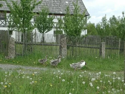 Tag der alten Haustierrassen Bild: Tag der alten Haustierrassen