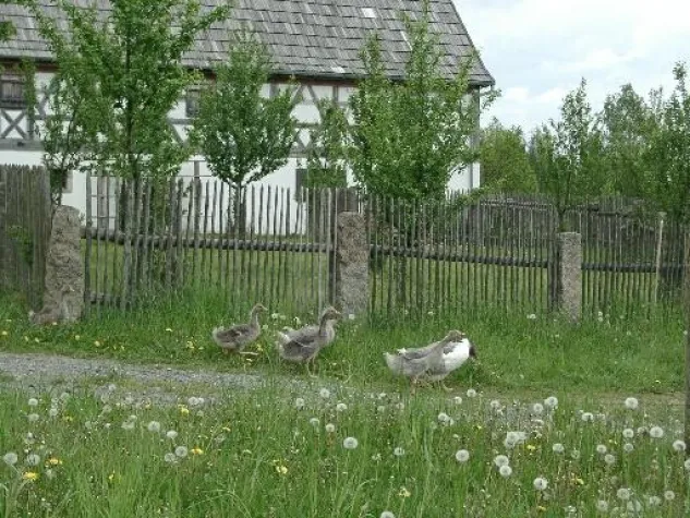 Bild: Tag der alten Haustierrassen