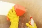 Bild: Chemische Reinigungsmittel - Wir expandieren