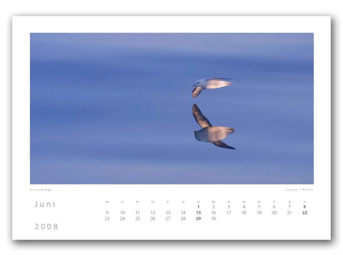 Monat Juni im irispix Naturkalender 2008