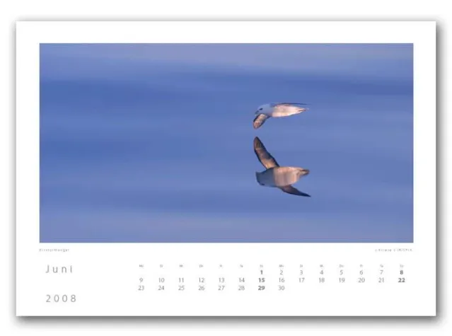 Bild: Auch 2008 wieder erhältlich: kostenloser Kalender bei irispix