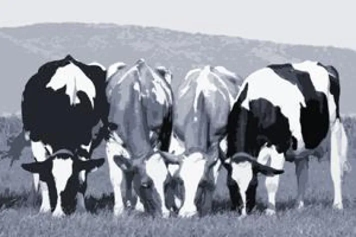 Bild: Diversity Management: Gewinn durch Vielfalt