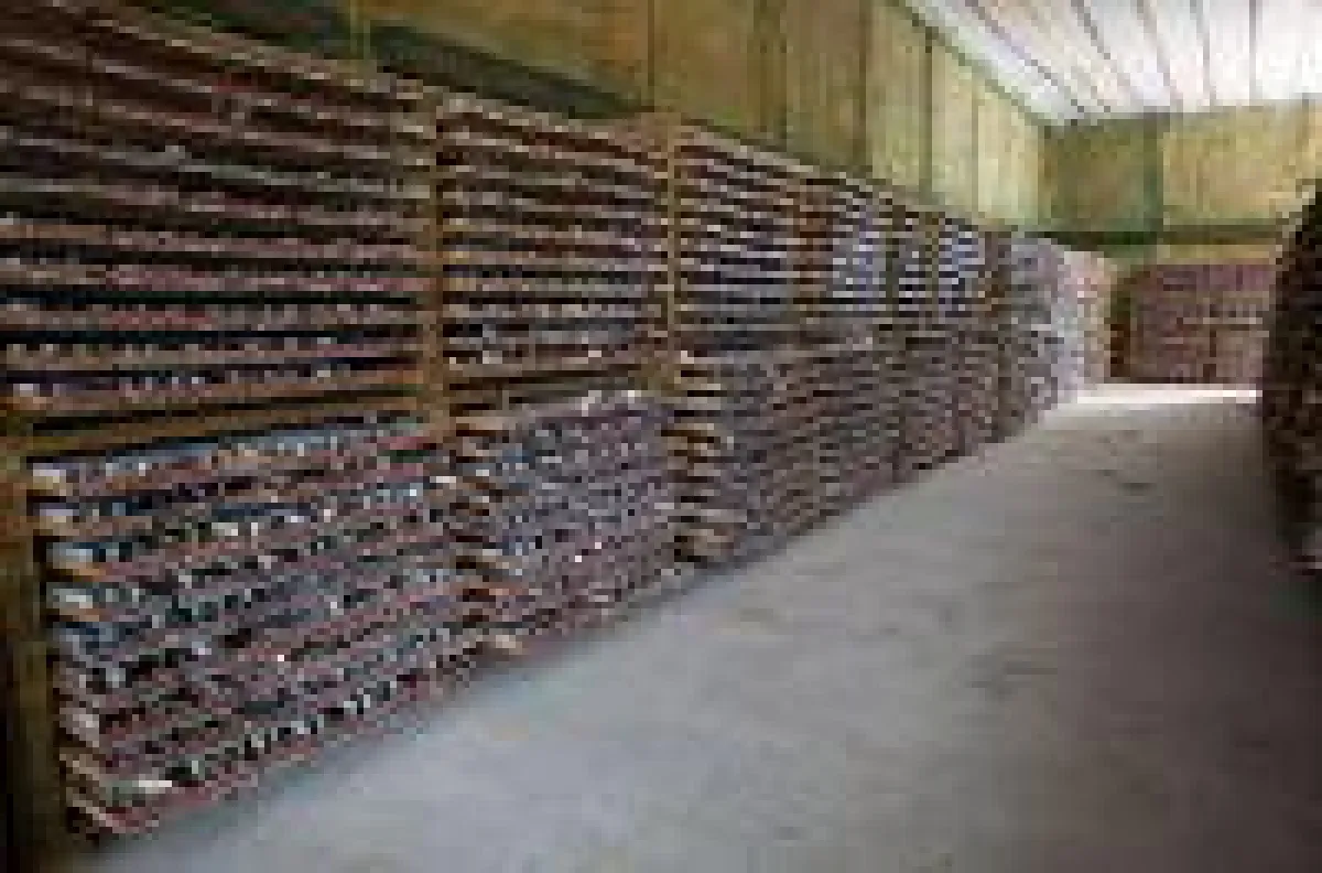 Diamantkernbohrloager Treasury Metals