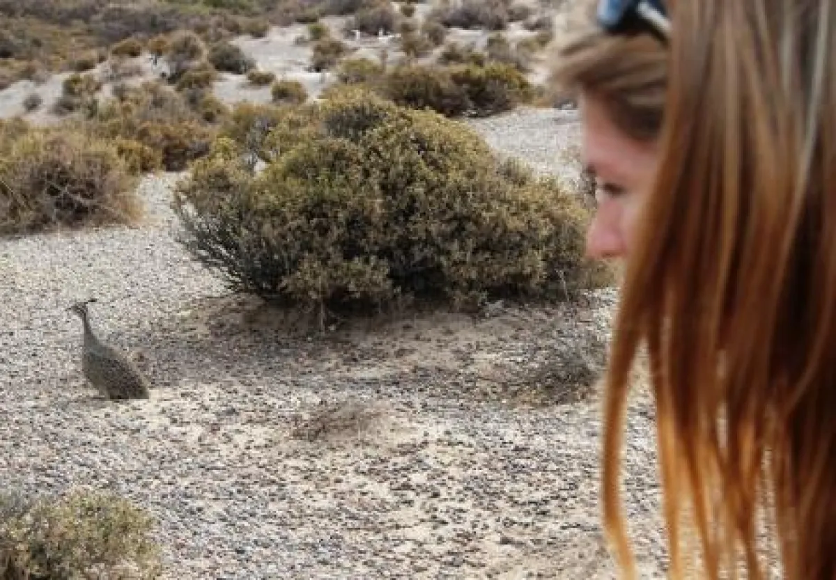 Martina Hirschmeier trifft auf ihr Paten-Tier: eine Huhn-Gattung namens Martineta.