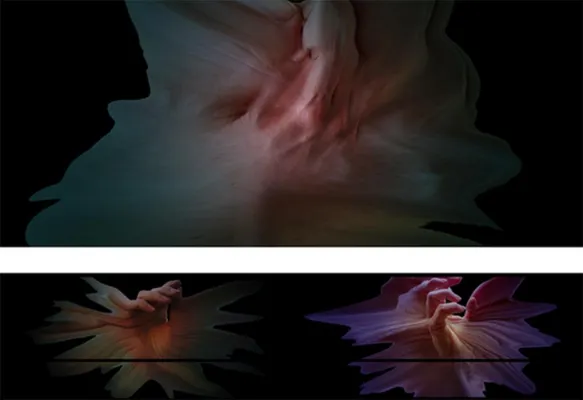 Programmvorschau 2020 Bild: Programmvorschau 2020