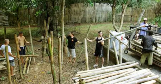 Bild: Bambuskohle für eine bessere Welt