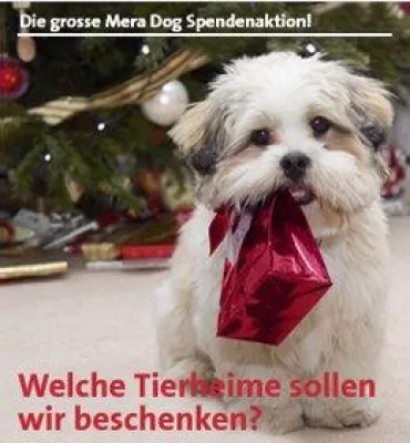 Auch in diesem Jahr wird Mera Dog mind. zwei Tierheimen mit Hundefutter aus der gröbsten Futternot helfen Bild: Auch in diesem Jahr wird Mera Dog mind. zwei Tierheimen mit Hundefutter aus der gröbsten Futternot helfen