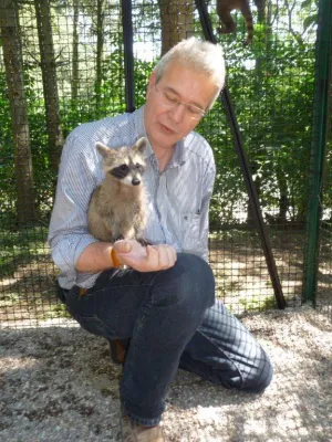 Bild: Zuwachs im Wild-Freizeitpark-Westerwald: drei kleine Waschbären