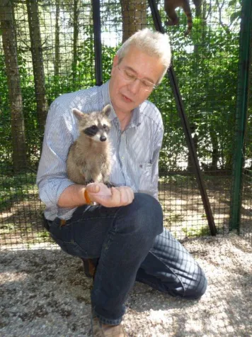 Bild: Zuwachs im Wild-Freizeitpark-Westerwald: drei kleine Waschbären