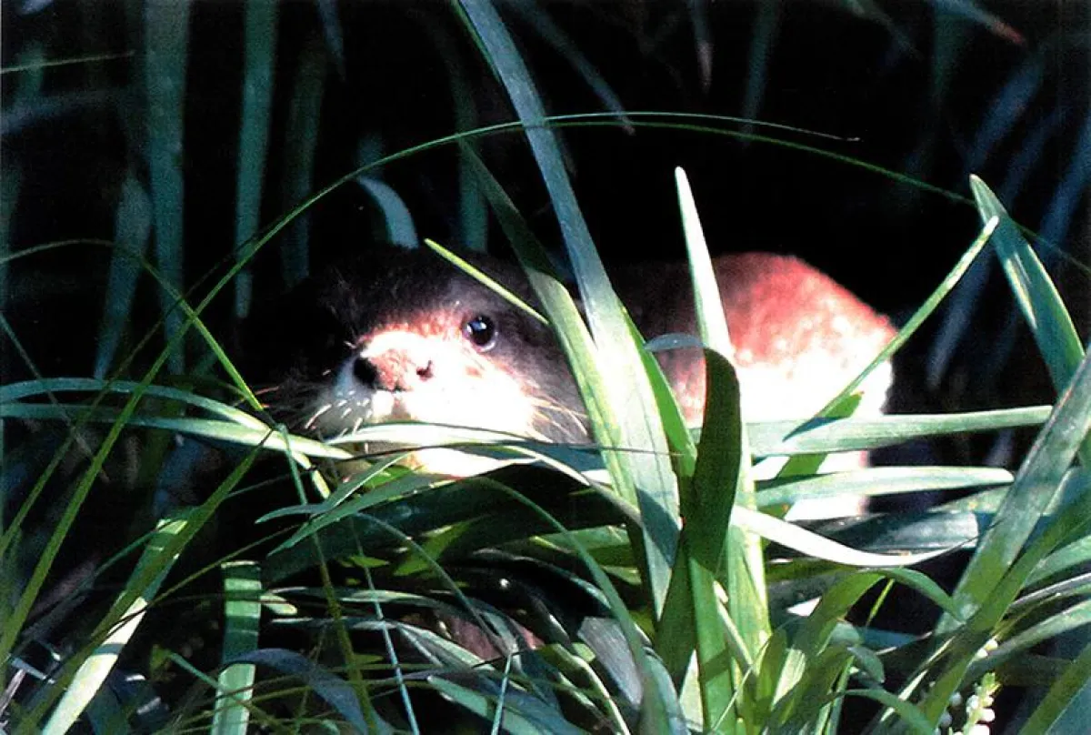 aQto verlängert die Tierpatenschaft im Zoo Leipzig