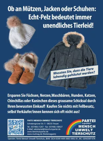 Bild: Wahlkampf-Endspurt bei der Tierschutzpartei