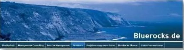 Bild: Projektmanagement in automobilen Projektnetzwerken entlang des Fahrzeuglebenszyklus