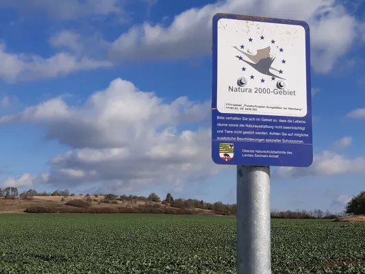 Bild: Naturzerstörung verhindern