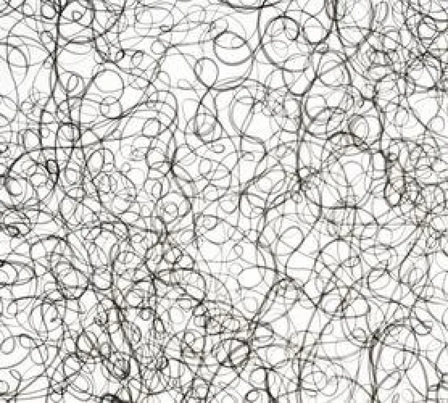 Jürgen Kellig, micro-macro, 2010, Tusche auf Papier, 180 x 150 cm, Detail