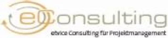 Bild: etvice Consulting setzt auf professionelle Beratung im Projektmanagement
