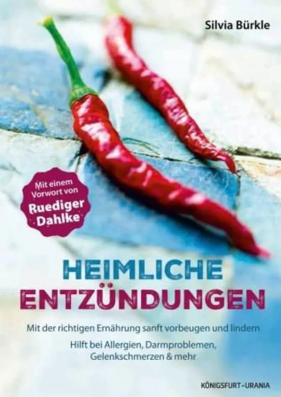 Heimliche Entzündungen: Das Buch von Silvia Bürkle mit einem umfassenden Vorwort von Ruediger Dahlke
