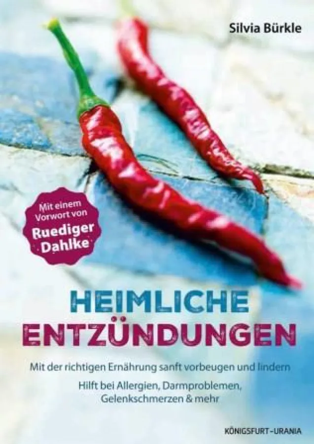 Heimliche Entzündungen: Das Buch von Silvia Bürkle mit einem umfassenden Vorwort von Ruediger Dahlke