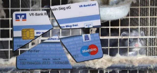 Bild: Deutsches Tierschutzbüro ruft alle Volksbank-Kunden auf, ihre EC-Karte zu zerschneiden + ihr Konto zu kündigen