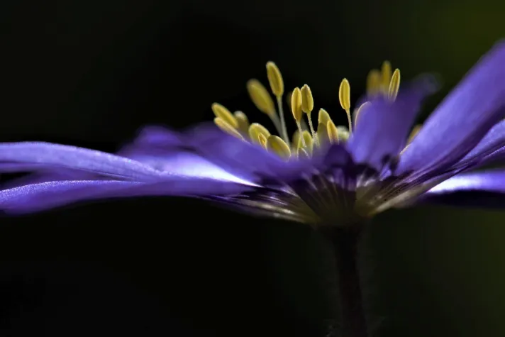 Bild: Offener Brief: Es sind düstere Zeiten