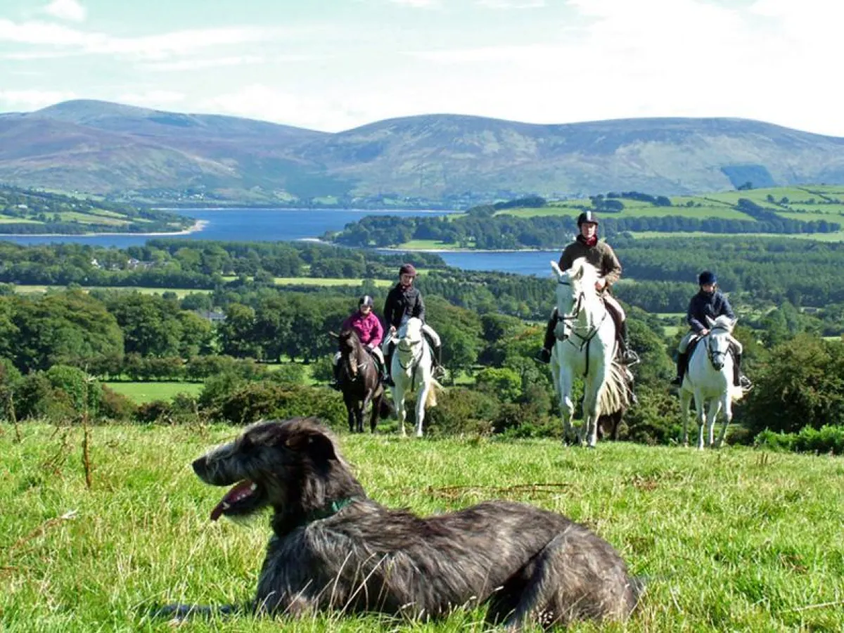 Reiten in Wicklow mit einem Wolfshund, Foto: Tourism Ireland und Wolftrek