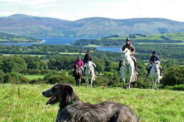 Bild: Mit Hund und Pferd Wicklow in Irland entdecken