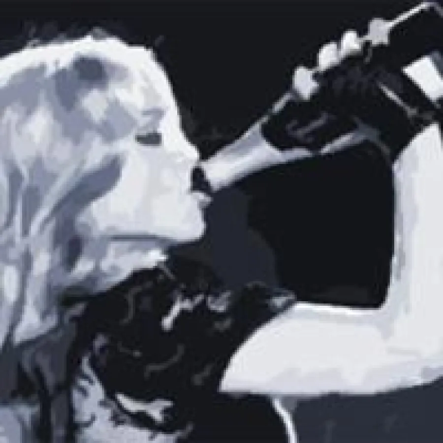 Prämien locken Seminar-Teilnehmer ins Training