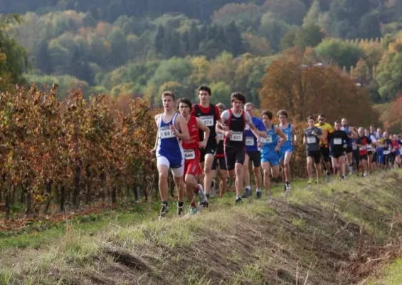 Bild: Bad Dürkheimer Wingertcrosslauf mit zusätzlicher "Biathlon"-Staffel