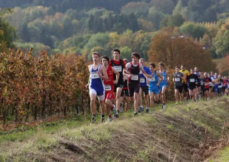 Bild: Bad Dürkheimer Wingertcrosslauf mit zusätzlicher "Biathlon"-Staffel