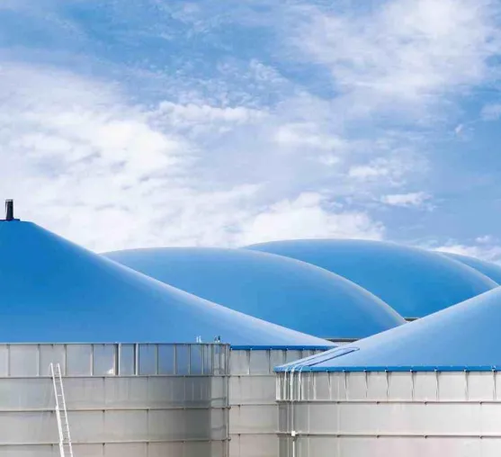 Bild: WELTEC BIOPOWER gelingt Markteintritt in Belgien