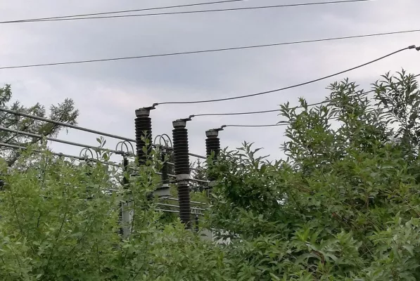 Bild: ECN Energie: Ökostrom-Anteil in Deutschland steigt auf Rekordwert - Kohlestrom weit abgehängt