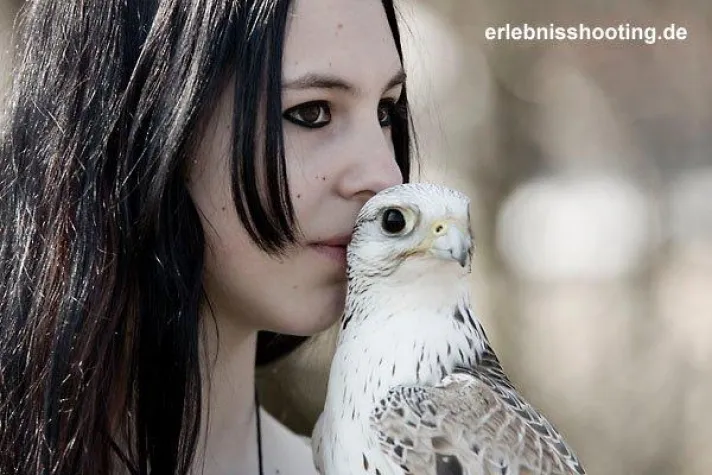 Einblick in den Alltag eines Berufsfalkners Bild: Einblick in den Alltag eines Berufsfalkners