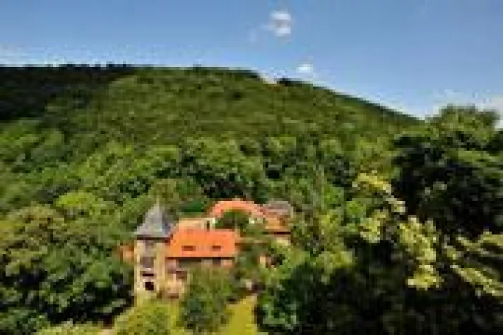 Wildgemüse-Picknick im Weserbergland Bild: Wildgemüse-Picknick im Weserbergland