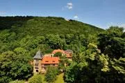 Bild: Wildgemüse-Picknick im Weserbergland