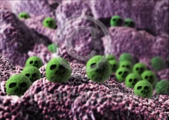 Bild: MRSA - der Keim in uns