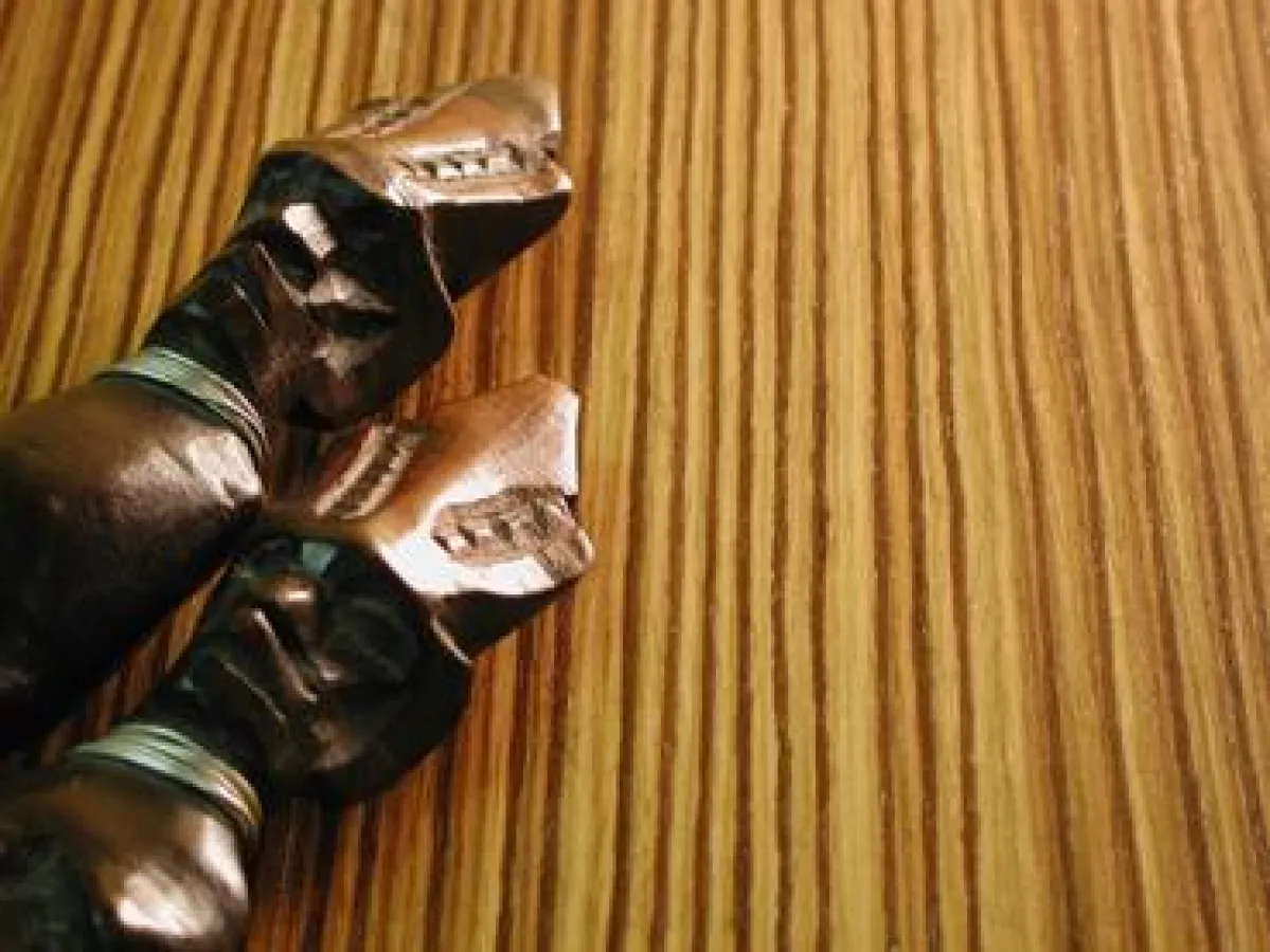 Topaktuell - der Zebrano-Boden 