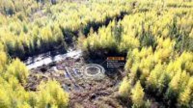 Bild: Nickel und Industriemetalle rücken wieder in den Blickpunkt