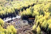 Nickel und Industriemetalle rücken wieder in den Blickpunkt Bild: Nickel und Industriemetalle rücken wieder in den Blickpunkt