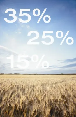 Bild: Chancen der staatlichen Förderung jetzt nutzen!