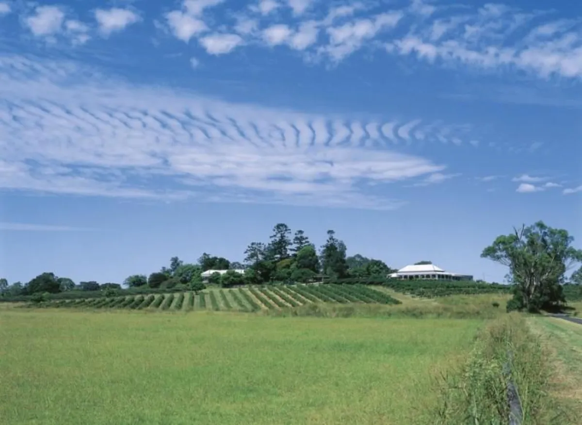 Das Weingut Albert River an der Gold Coast
