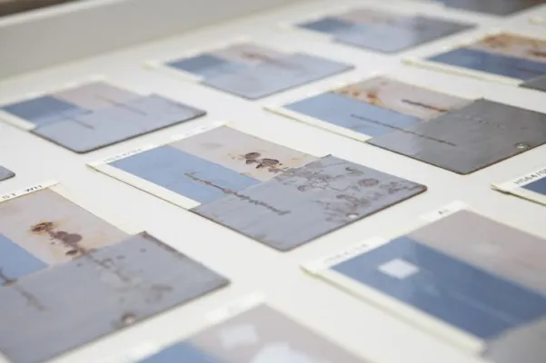 Heubach erweitert die Produktionskapazität der Korrosionsschutzpigmente Bild: Heubach erweitert die Produktionskapazität der Korrosionsschutzpigmente