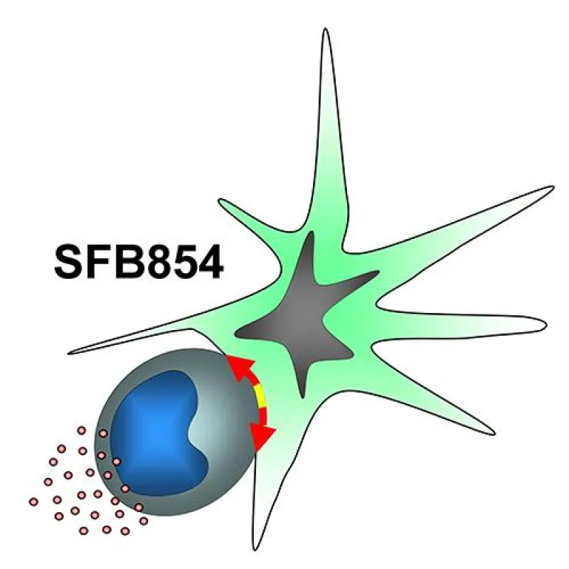 SFB 854 (Logo: SFB 854)