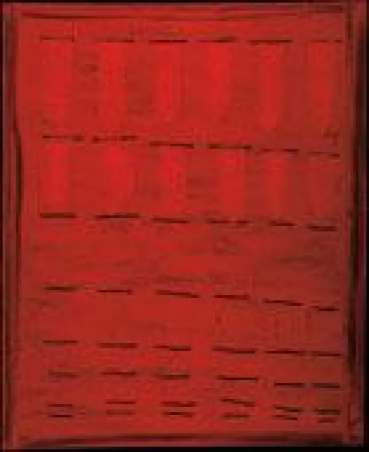 Mary Heilmann »Ties in My Closet«, 1972, Watkins Collection, American University Museum, Gift of Marvin and Florence Gerstin, Courtesy American University Museum