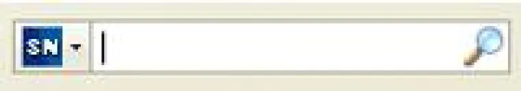 Bild: Kostenloses Add-on zur schnellen Suche im SAP Developer Network (SDN)